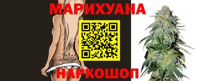 крисы Донской