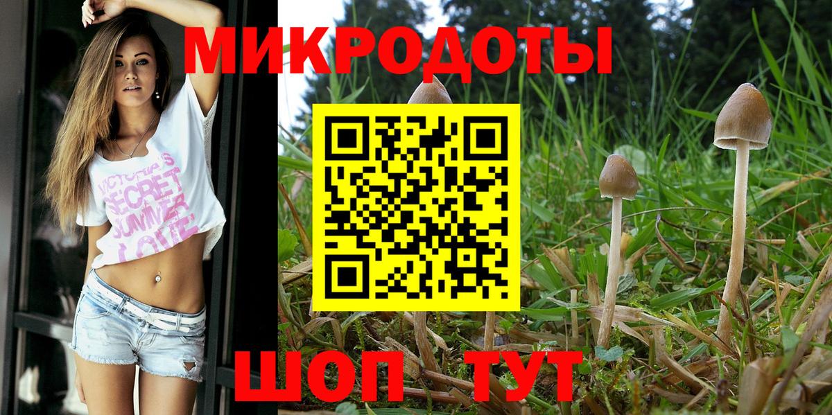 Псилоцибиновые грибы MAGIC MUSHROOMS Кашира