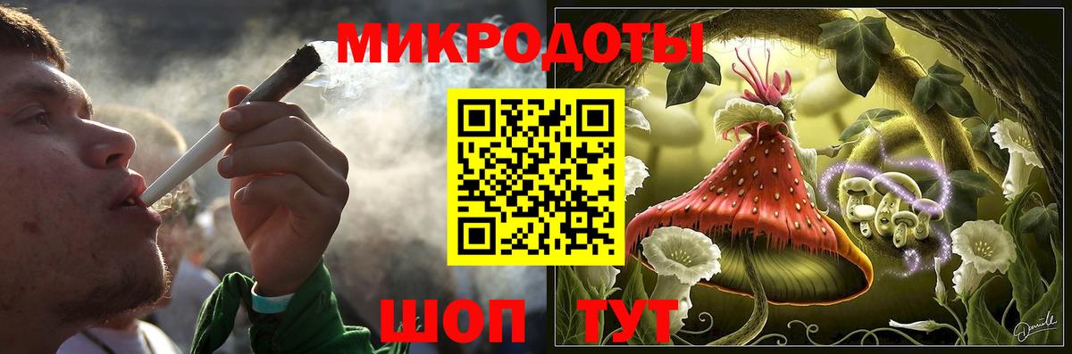 Кашира  сколько стоит  Вход с VPN  Псилоцибиновые грибы Psilocybe 